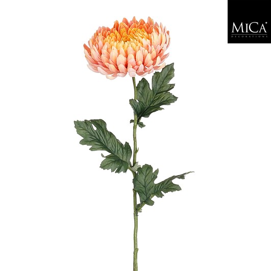 Chrysant perzik - l76cm
