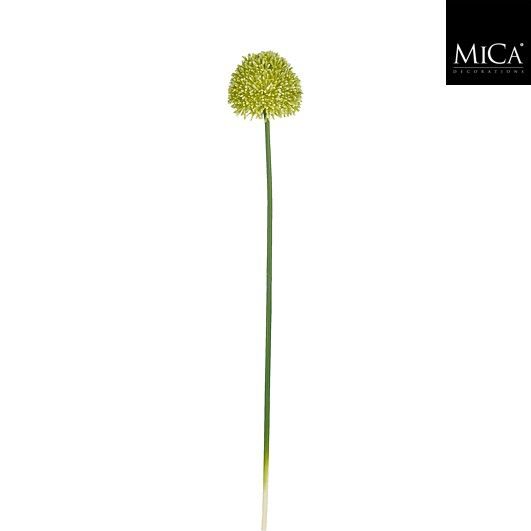 Allium groen - l70cm 127558 creamgreen