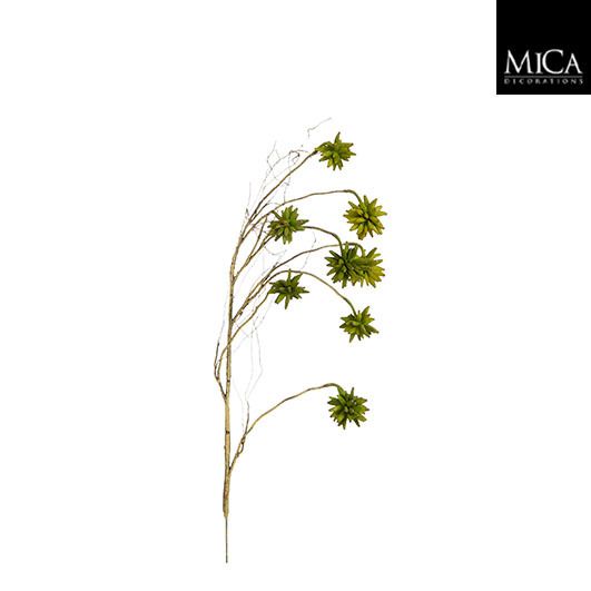 Vetplant groen - l110cm